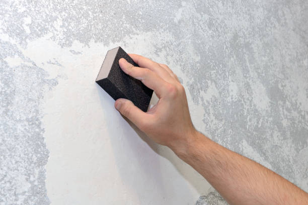 Best Asbestos and Lead Testing During Mold Inspection  in Morton, WA