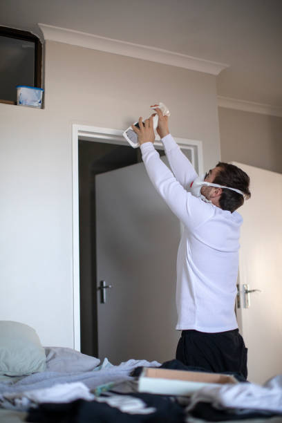 Best Water Damage & Mold Remediation  in Morton, WA